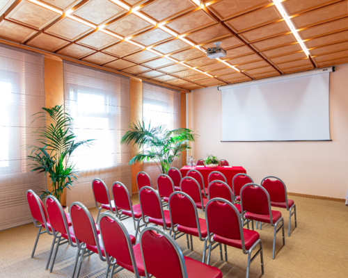 Posti Sala Rosa per meeting e conferenze a Udine